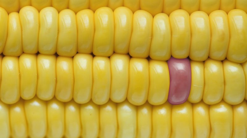 mais-close-up-dettagli