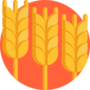 icona-Sottoprodotti della lavorazione del frumento